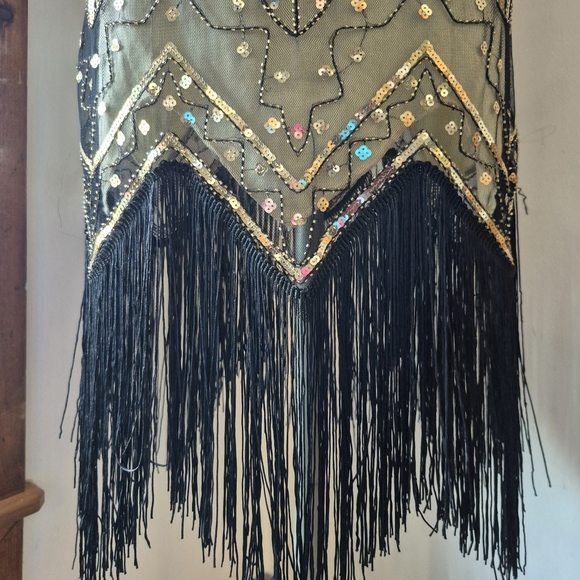 Flapper Dress - Picture 5 of 14